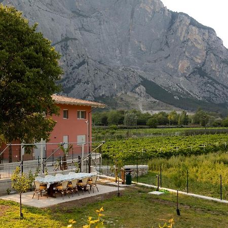 HOLIDAY APARTMENTS GIULIA - Green Pietramurata Buitenkant foto